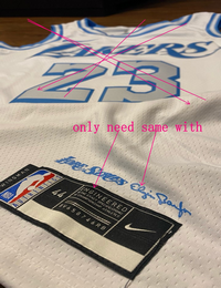 Nike Los Angeles Lakers Blank Authentic Stitched NBA Jersey