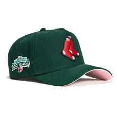 Boston Red Sox MLB Snapbacks Hats TX 20