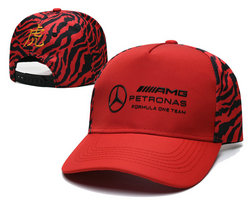 Car Snapbaqck Hats TX 2