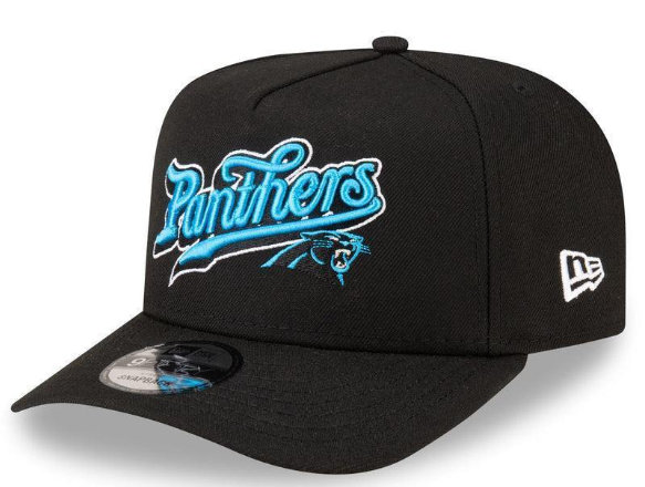 Carolina Panthers NFL Snapbacks Hats TX 04