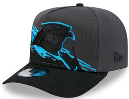 Carolina Panthers NFL Snapbacks Hats TX 09