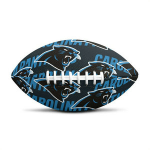 Carolina Panthers Team Logo Mini Football