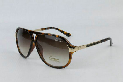 Cartier Sunglasses 14