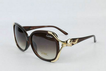 Cartier Sunglasses 17