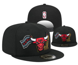 Chicago Bulls NBA Snapbacks Hats YD 05