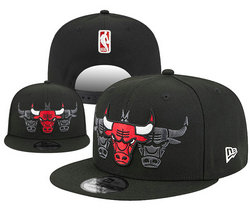 Chicago Bulls NBA Snapbacks Hats YD 10