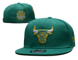 Chicago Bulls NBA Snapbacks Hats tx 02