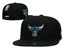 Chicago Bulls NBA Snapbacks Hats ys 6