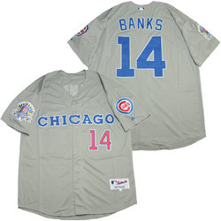 Chicago Cubs #14 Ernie Banks Grey 1900 Throwback Authentic Stitched MLB jersey