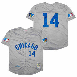 Chicago Cubs #14 Ernie Banks Grey 1969 Throwback Authentic Stitched MLB jersey