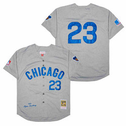 Chicago Cubs #23 Ryne Sandberg Grey 1969 Throwback Authentic Stitched MLB jersey