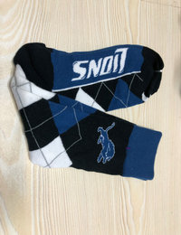 Detroit Lions NFL Socks 03