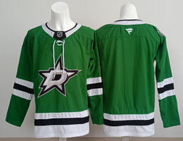 Fanatics Dallas Stars Blank Green Authentic Stitched NHL jersey