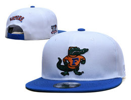 Florida Gators NCAA Snapbacks Hats YS 02