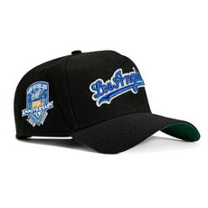 Los Angeles Dodgers MLB Snapbacks Hats TX 117