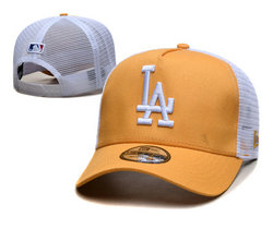Los Angeles Dodgers MLB Snapbacks Hats TX 43