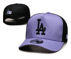 Los Angeles Dodgers MLB Snapbacks Hats TX 48