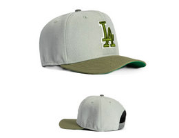 Los Angeles Dodgers MLB Snapbacks Hats YS 5