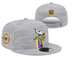 Minnesota Vikings NFL Snapbacks Hats YD 07