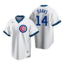 Nike Chicago Cubs #14 Cubs Ernie White Pullover Authentic Stitched MLB Jersey
