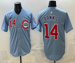 Nike Chicago Cubs #14 Ernie Banks 2nd Alternate Stitched Baseball Jersey