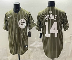 Nike Chicago Cubs #14 Ernie Banks Stripes Authentic Stitched MLB Jersey