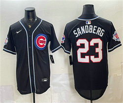 Nike Chicago Cubs #23 Ryne Sandberg 150th Anniversary Black Out Style Premier Jersey