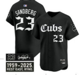 Nike Chicago Cubs #23 Ryne Sandberg Black 5(V) Joint Black sleeves MLB Jersey