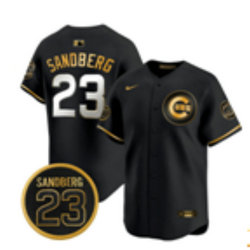Nike Chicago Cubs #23 Ryne Sandberg Black Gold 3(III) MLB Jersey