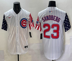 Nike Chicago Cubs #23 Ryne Sandberg White Flag Blue sleeves Jersey