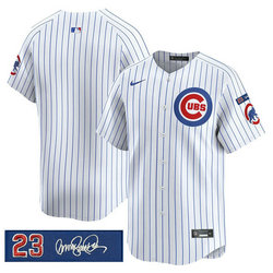 Nike Chicago Cubs Blank White Pinstripe Ryne Sandberg Tribute V3 Jersey