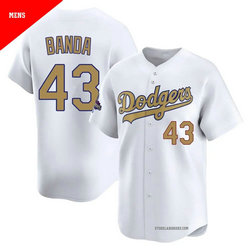 Nike Los Angeles Dodgers #43 Anthony Banda White Gold Name Champions MLB Jersey