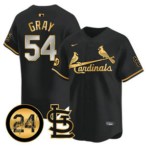 Nike St.Louis Cardinals #54 Sonny Gray Black 2024 Memorial Gold Name Authentic stitched MLB jersey