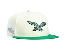 Philadelphia Eagles NFL Snapbacks Hats YS 25