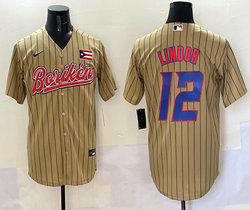 Puerto Rico Team #12 Francisco Lindor Joint MLB Jersey