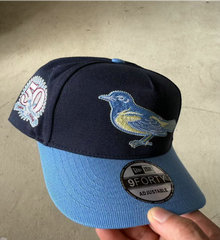 St. Louis Cardinals MLB Snapbacks Hats TX 011