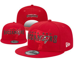 Tampa Bay Buccaneers NFL Snapbacks Hats YD 05