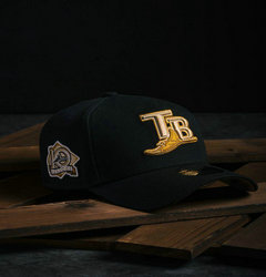 Tampa Bay Rays MLB Snapbacks Hats TX 09