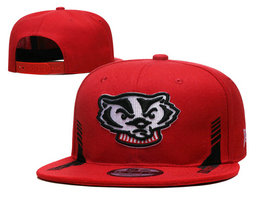 Wisconsin Badgers NCAA Snapbacks Hats YD 2