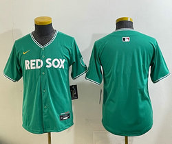 Youth Nike Boston Red Sox Blank Green City Jersey