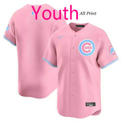 Youth Nike Chicago Cubs. Blank Pink MLB jersey.jpg